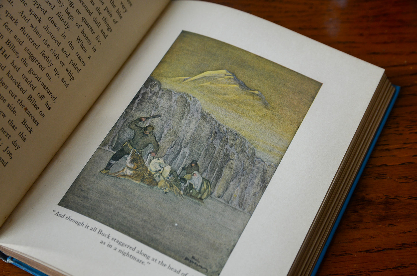 The Call of the Wild by Jack London / Illustrated by Paul Bransom / 1923