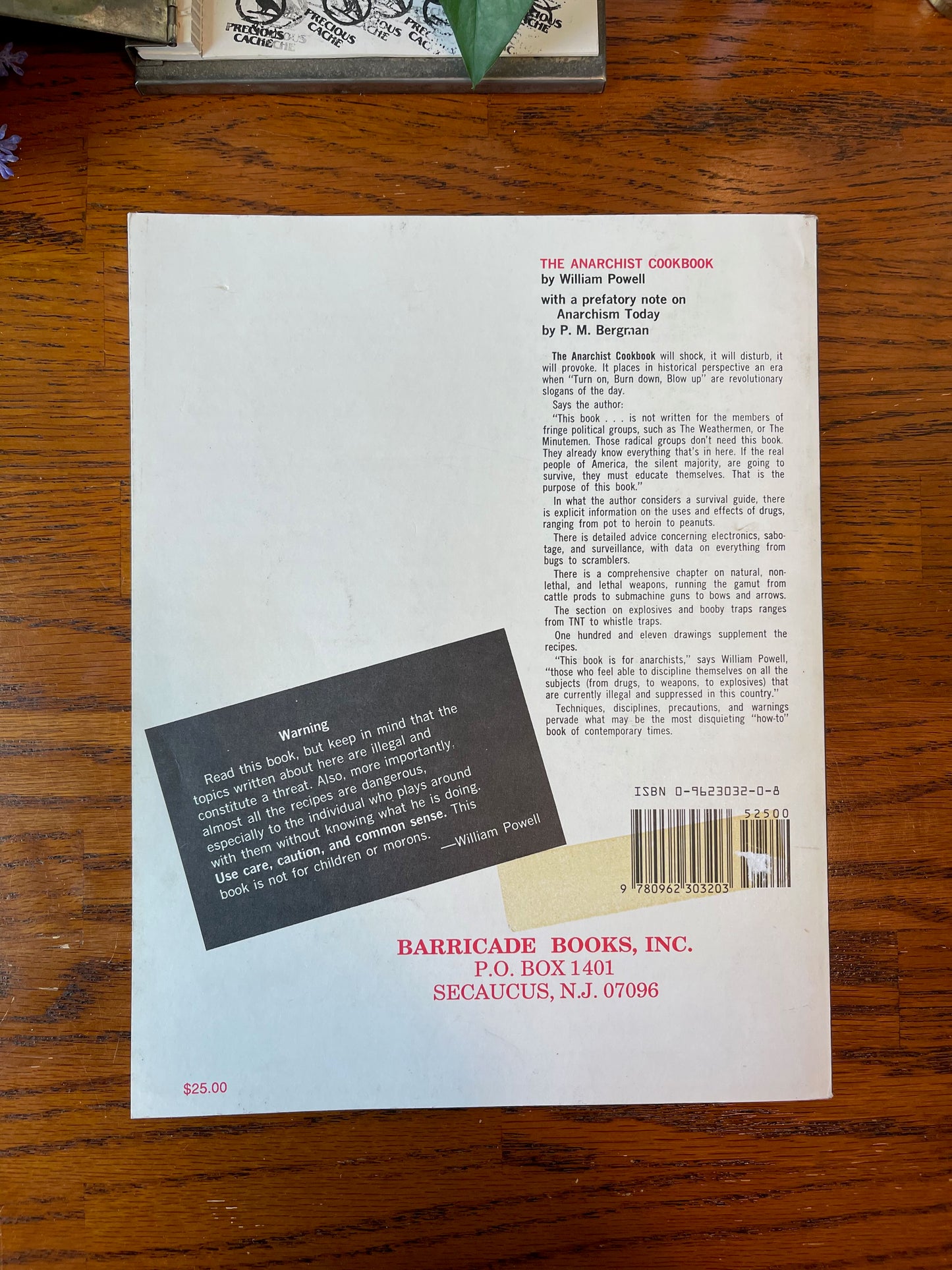 The Anarchist Cookbook / 1989