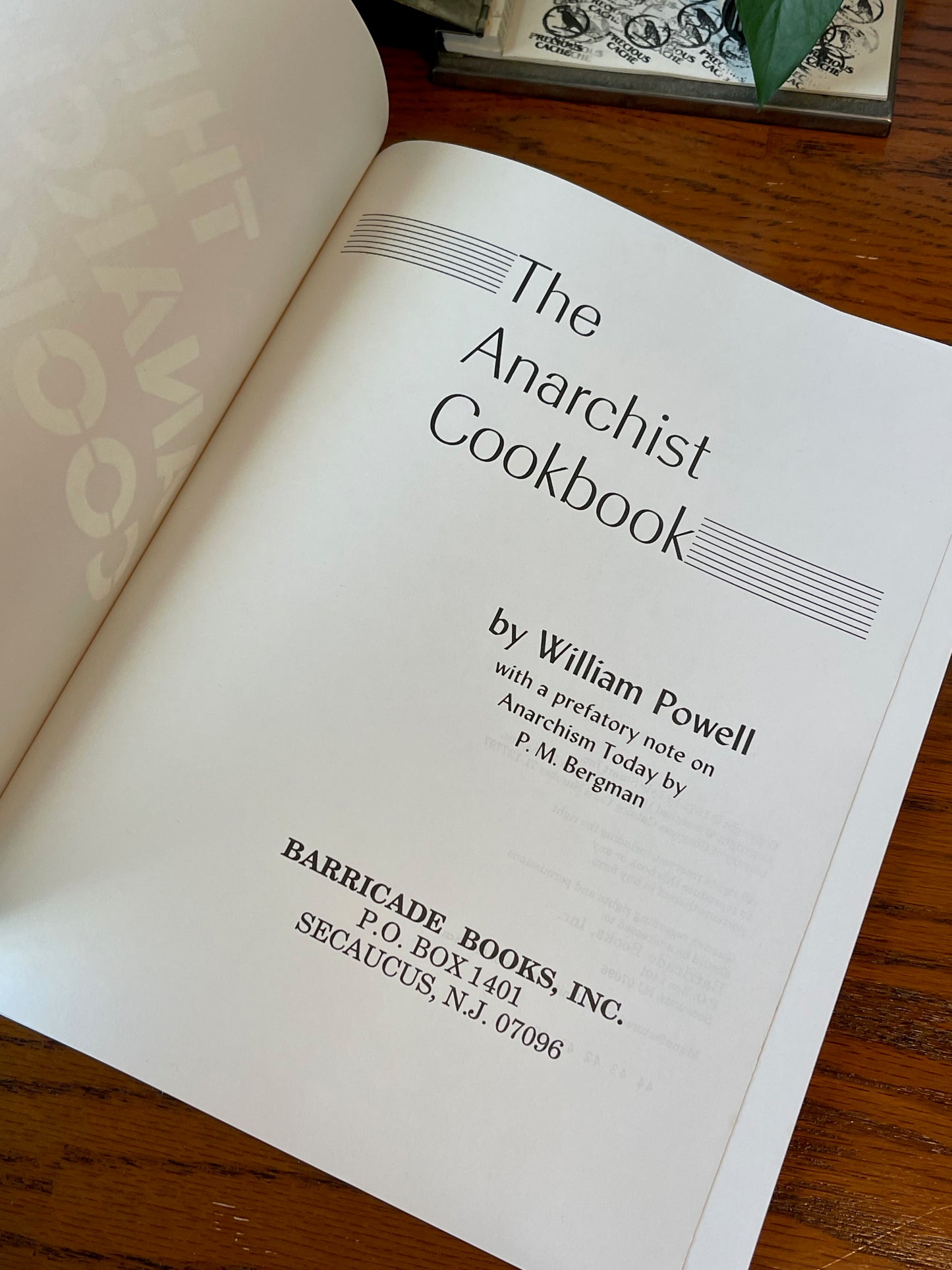 The Anarchist Cookbook / 1989