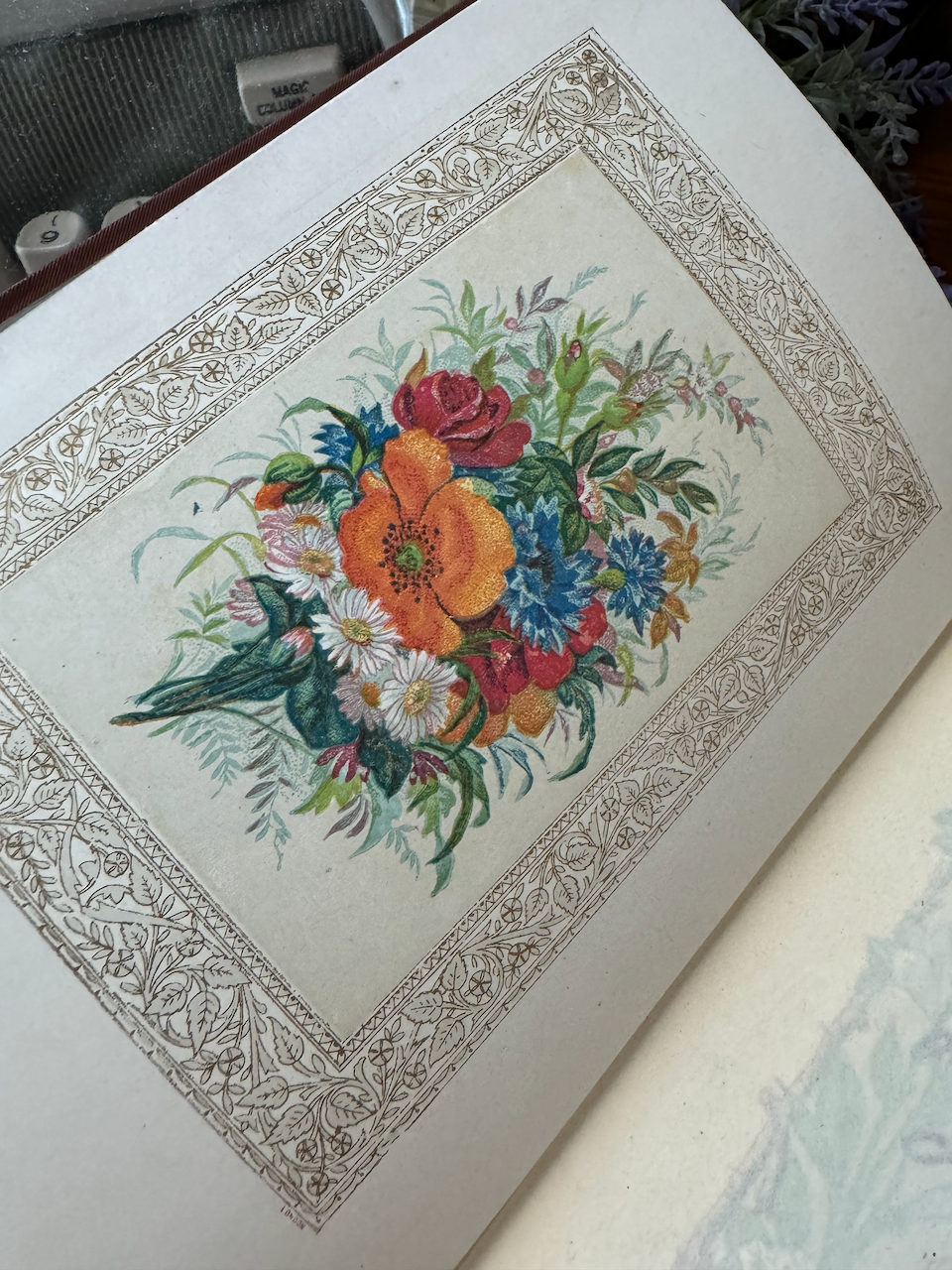 Flora Symbolica: or, the Language and Sentiment of Flowers / ca. 1870