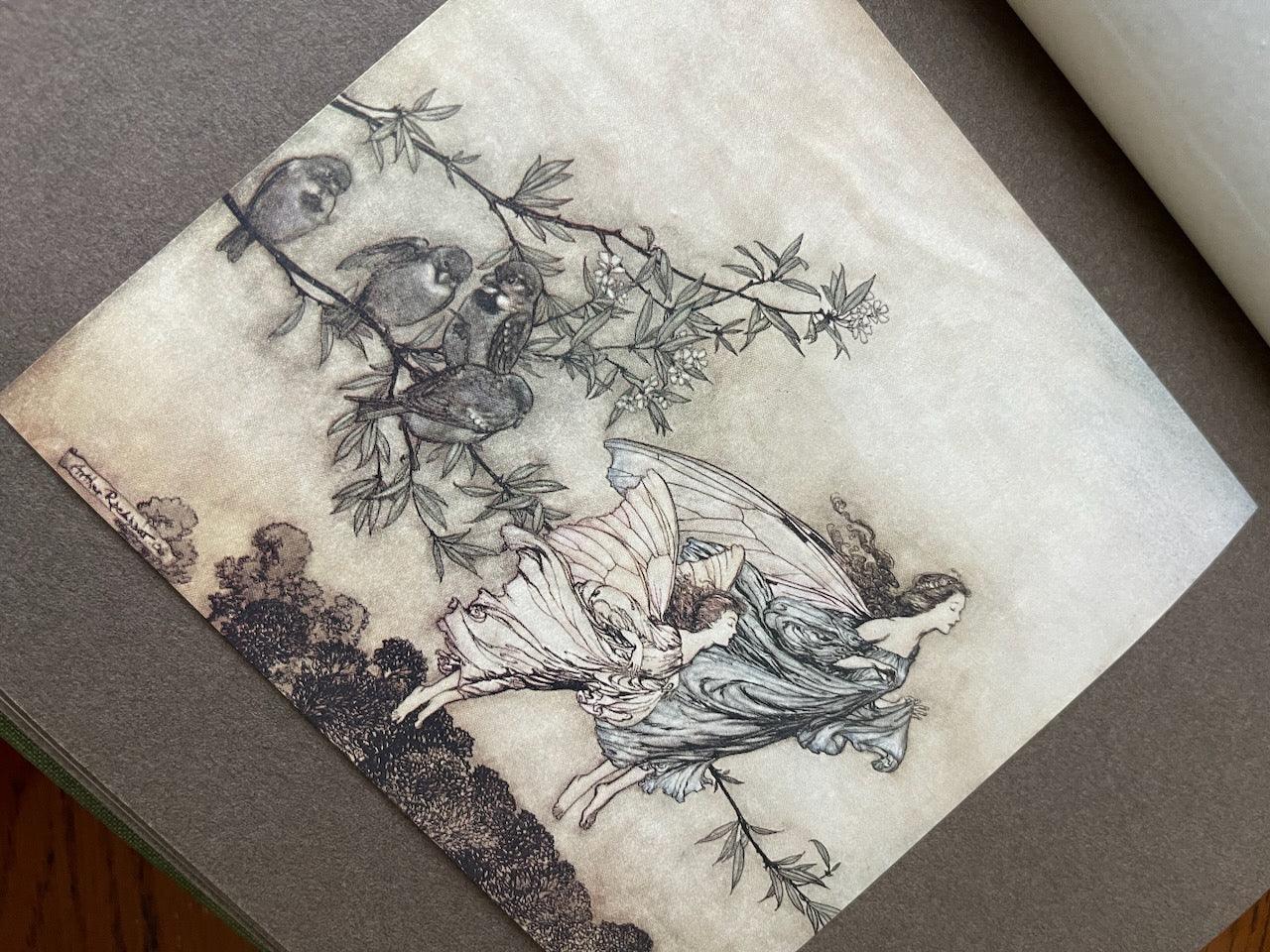 Peter Pan Kensington Gardens / Illustrated by Arthur Rackham / 1908 - Precious Cache