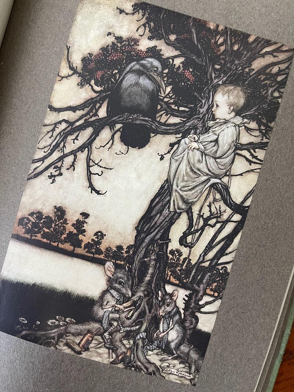 Peter Pan Kensington Gardens / Illustrated by Arthur Rackham / 1908 - Precious Cache