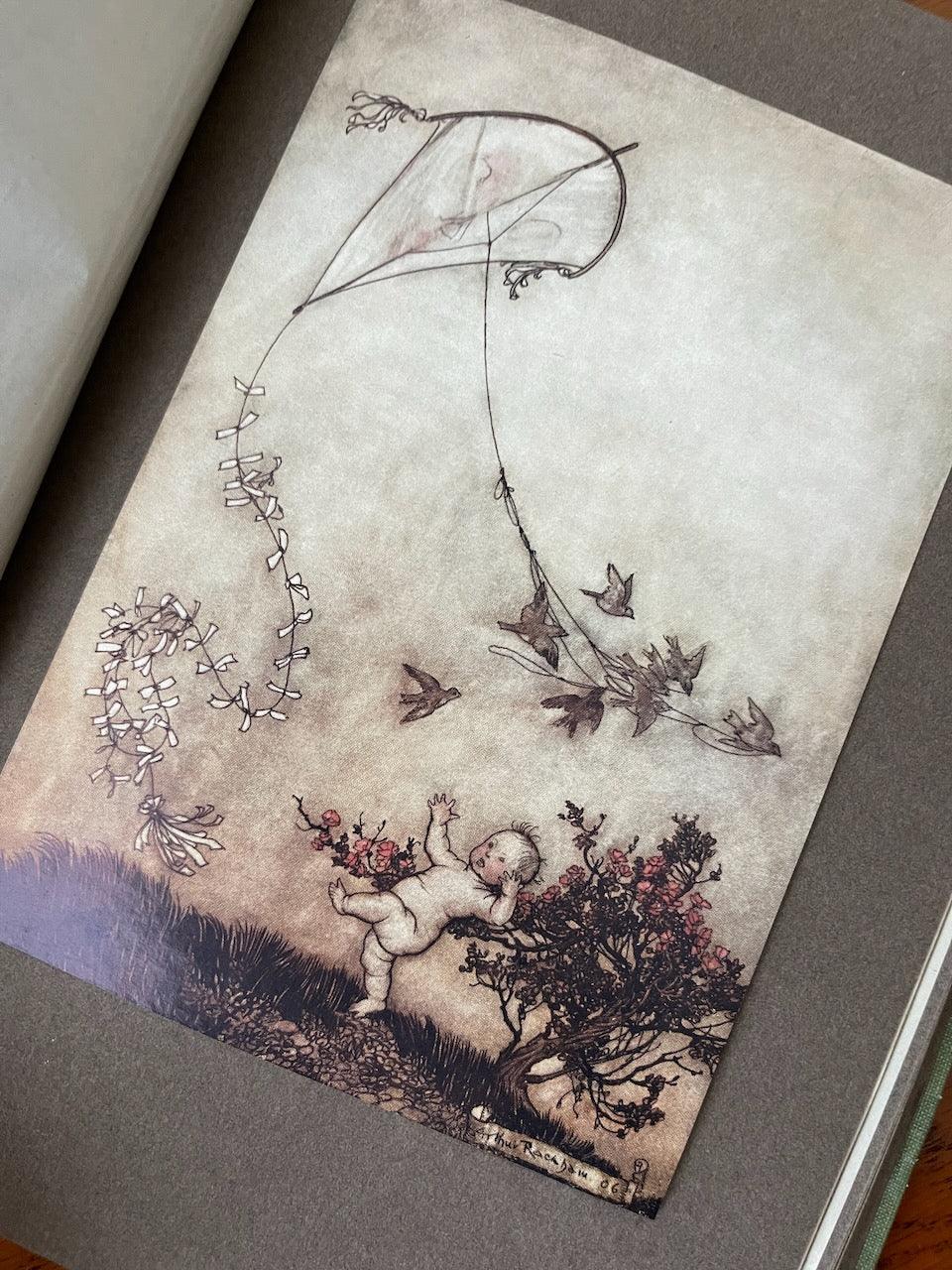 Peter Pan Kensington Gardens / Illustrated by Arthur Rackham / 1908 - Precious Cache