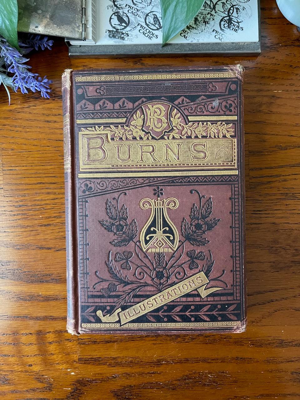 The Poetical Works of Robert Burns / 1881 - Precious Cache
