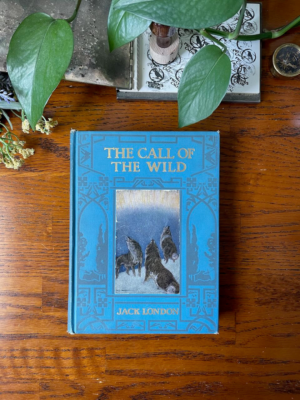 The Call of the Wild by Jack London / Illustrated by Paul Bransom / 1923