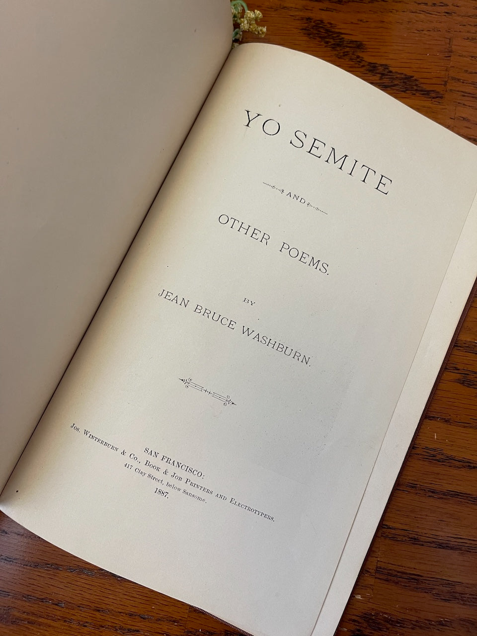 Yo Semite and Other Poems