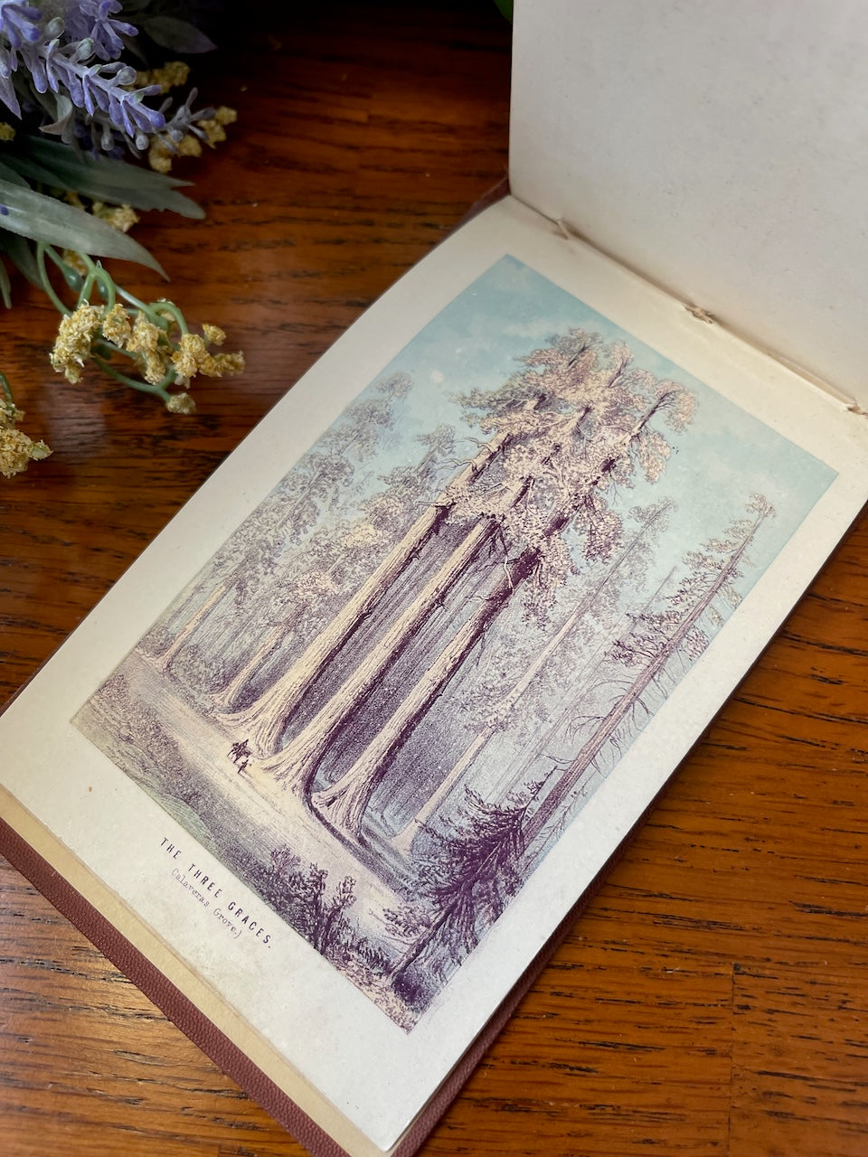 The Yosemite Valley / Pictorial Guide Book / n.d. 1870