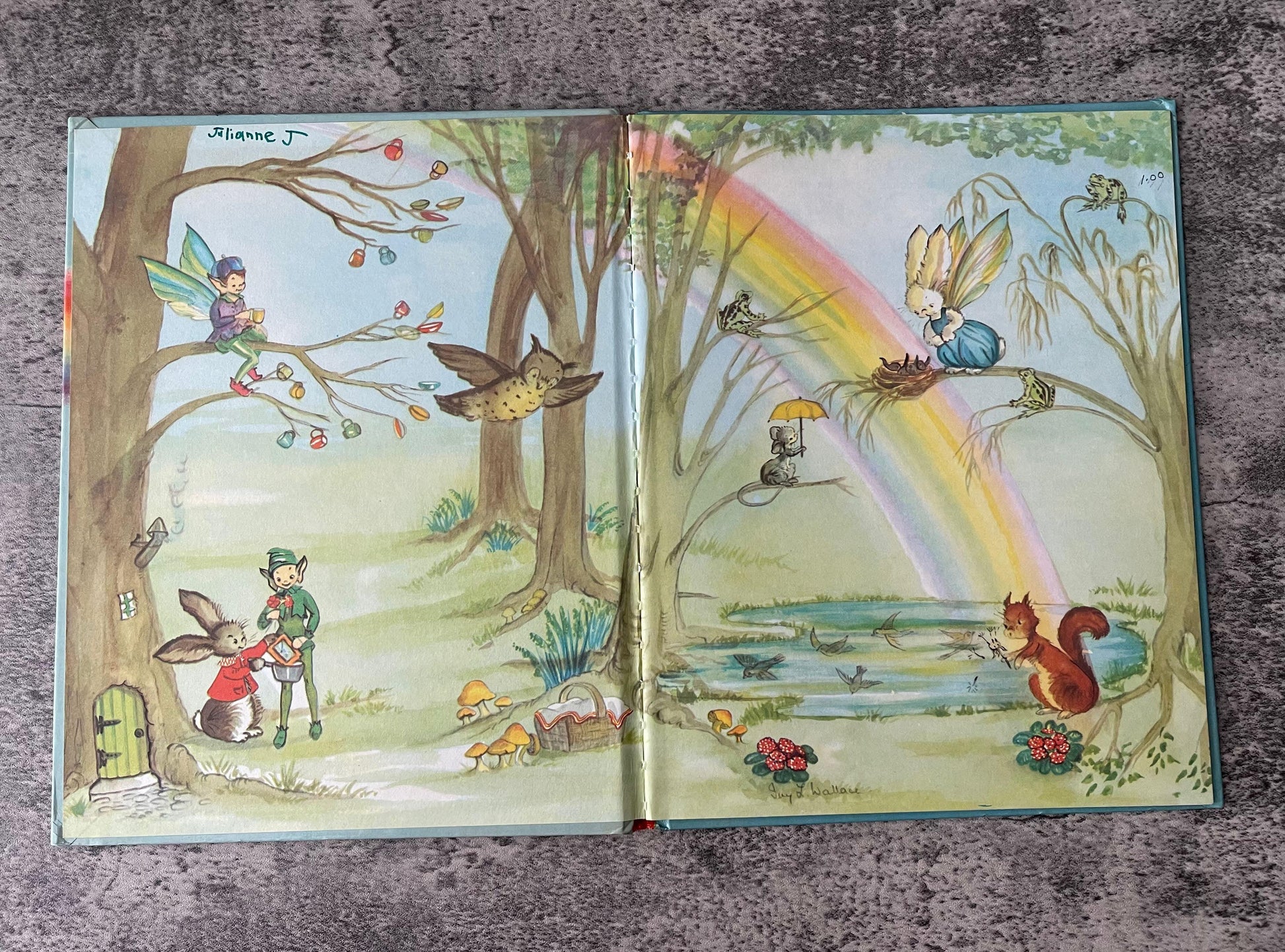 Pookie in Wonderland / 1st Edition / 1963 - Precious Cache