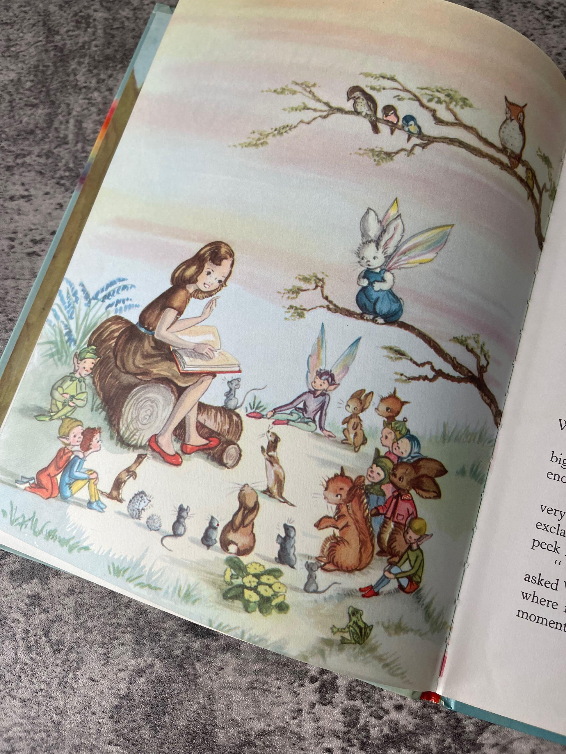 Pookie in Wonderland / 1st Edition / 1963 - Precious Cache