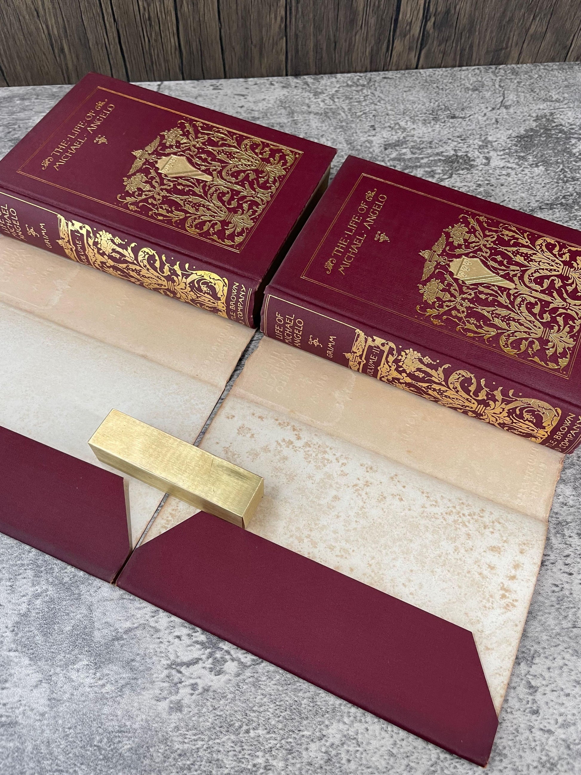 Life of Michelangelo / 2 Volumes / 1898 - Precious Cache