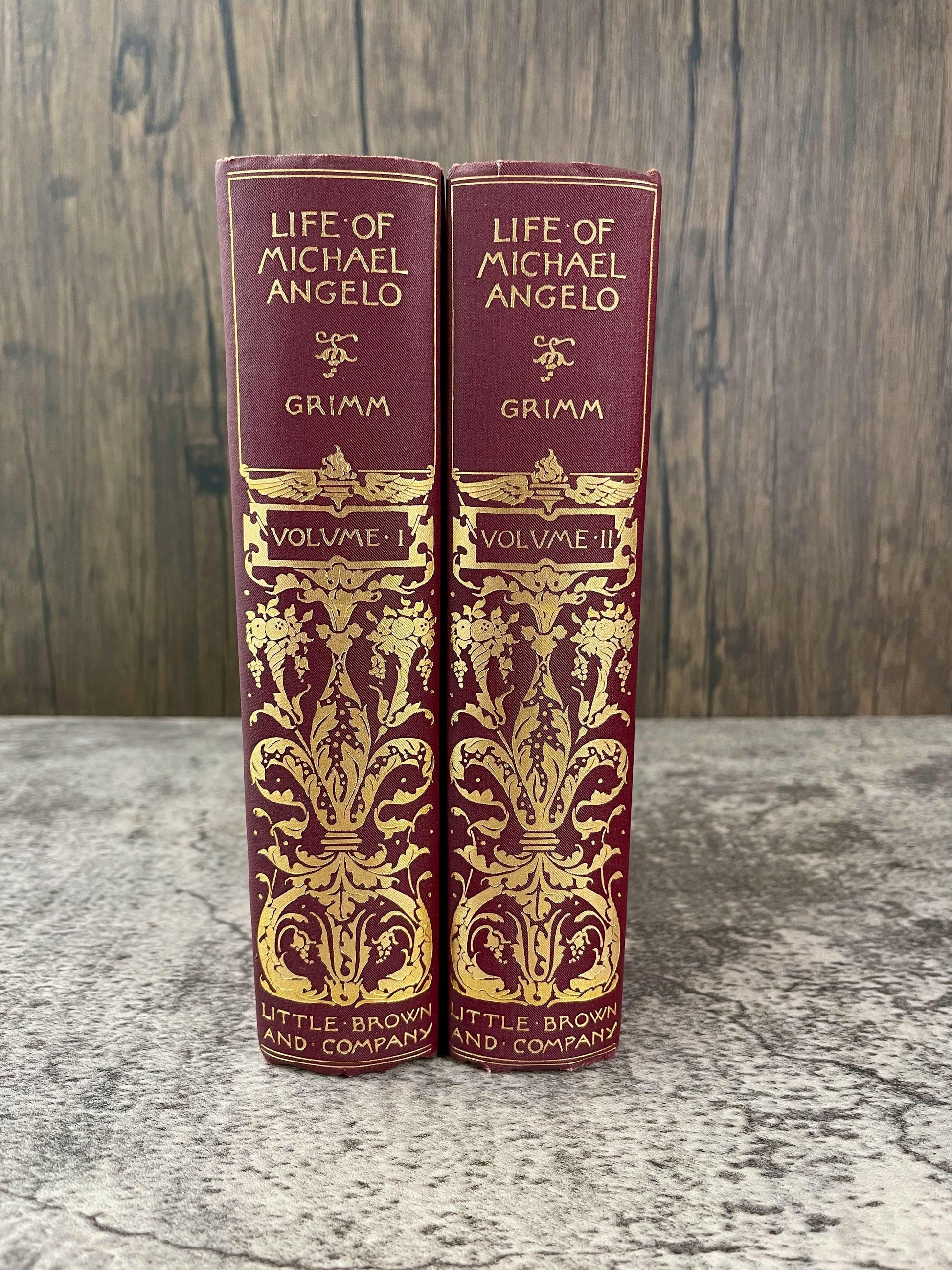 Life of Michelangelo / 2 Volumes / 1898 - Precious Cache