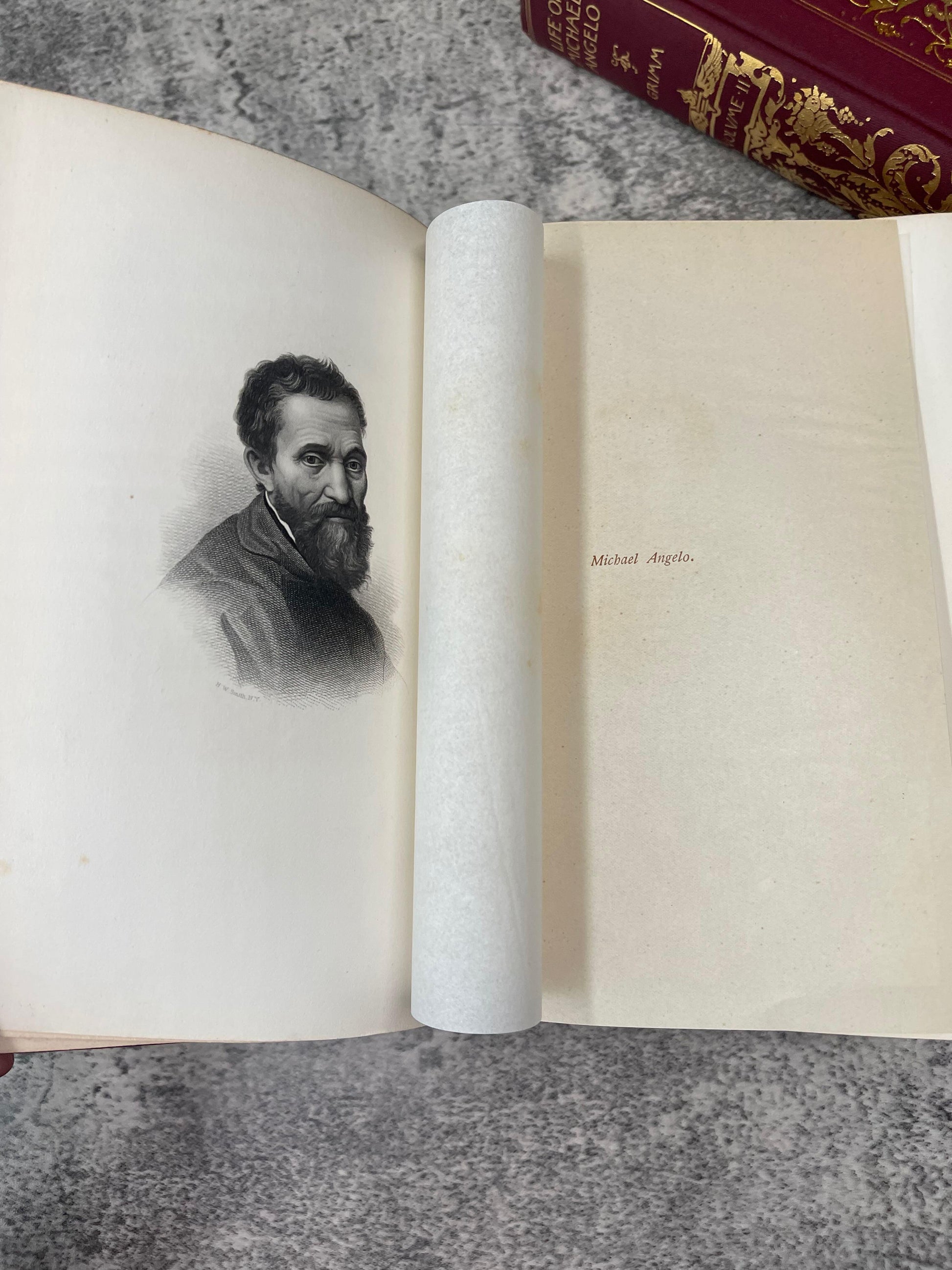 Life of Michelangelo / 2 Volumes / 1898 - Precious Cache