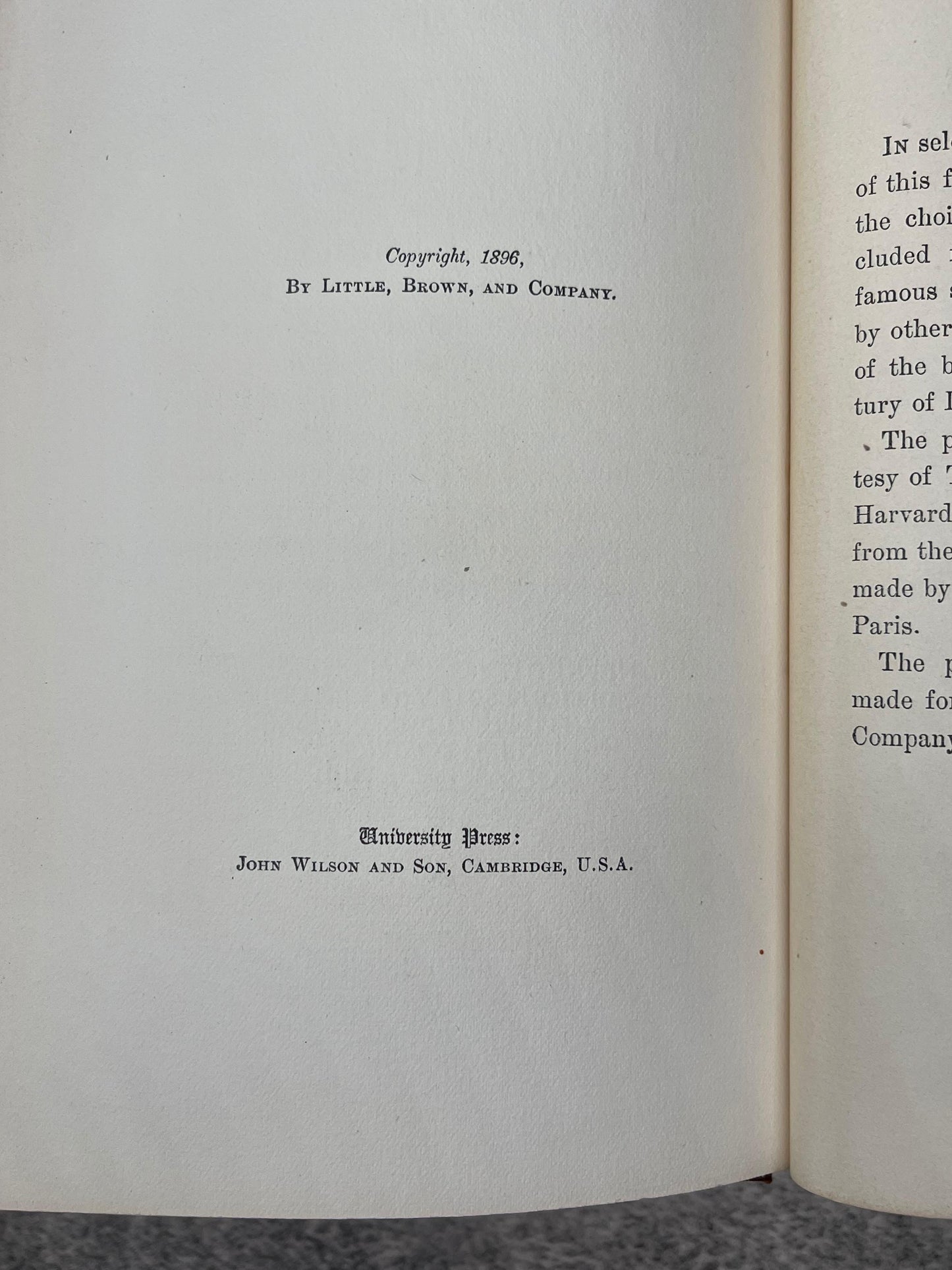 Life of Michelangelo / 2 Volumes / 1898 - Precious Cache