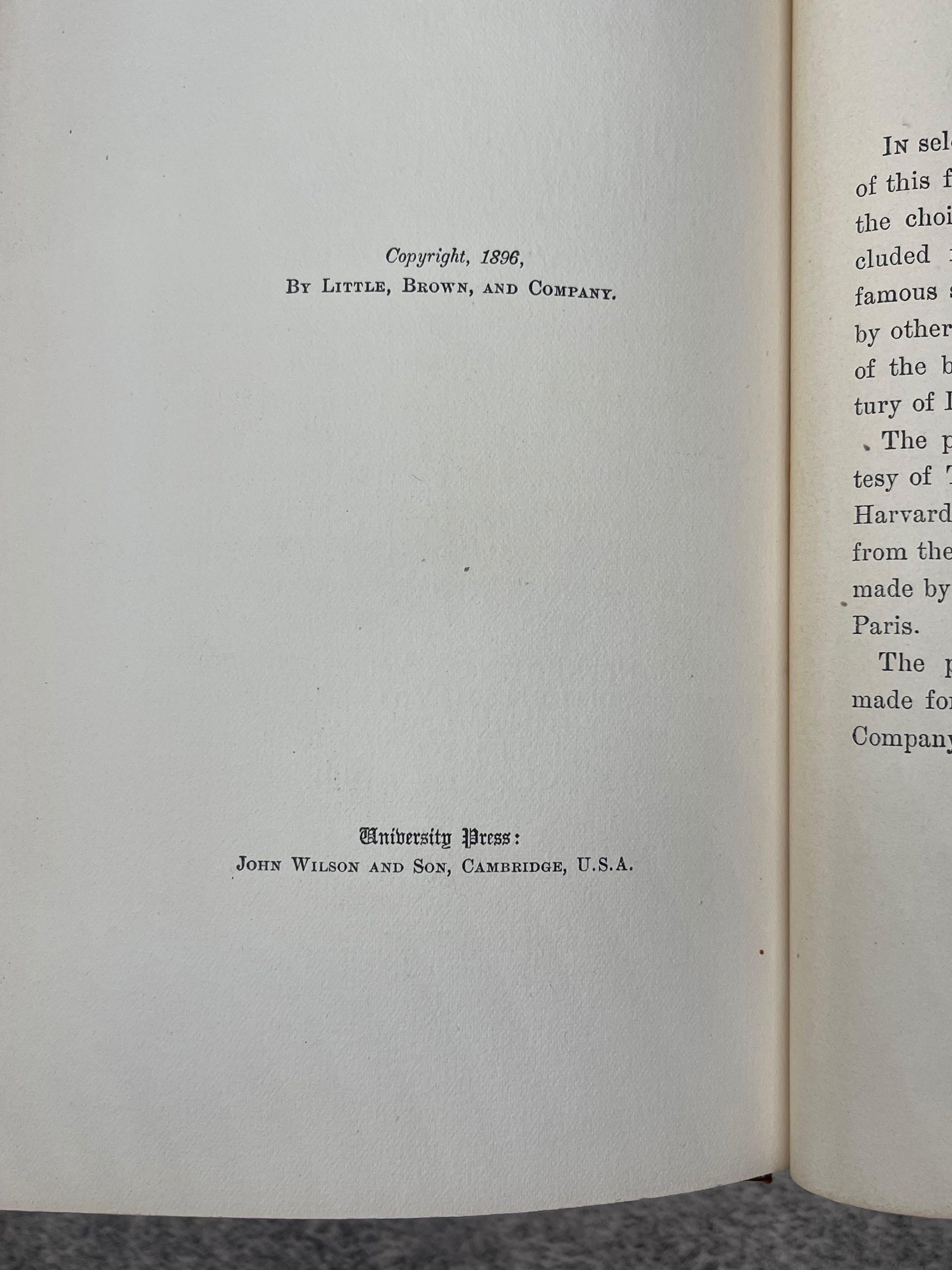 Life of Michelangelo / 2 Volumes / 1898 - Precious Cache