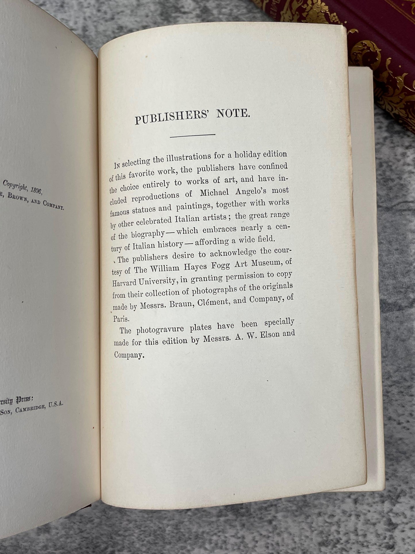 Life of Michelangelo / 2 Volumes / 1898 - Precious Cache