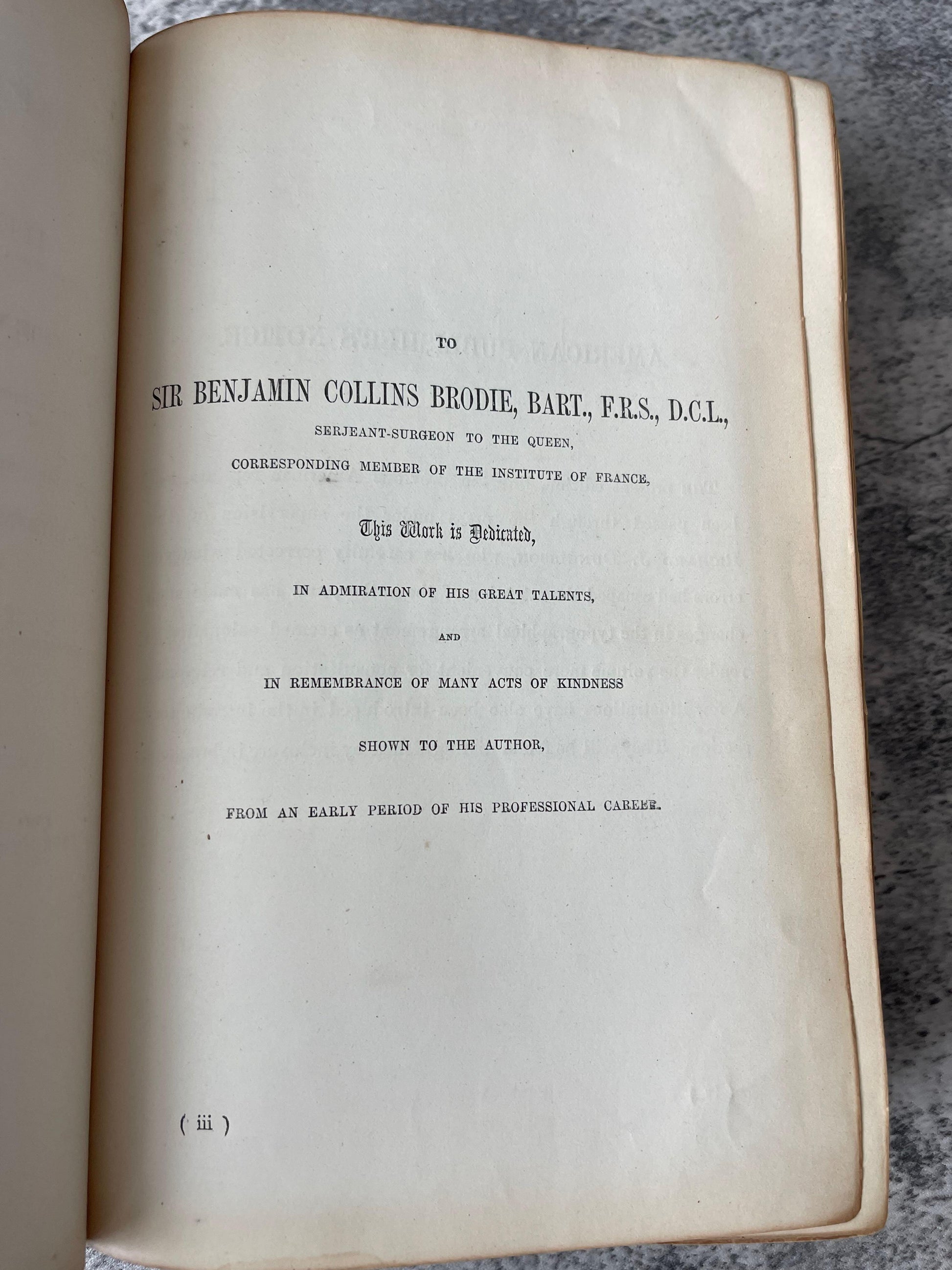 Gray's Anatomy Descriptive and Surgical / Fifth Edition / 1870 - Precious Cache