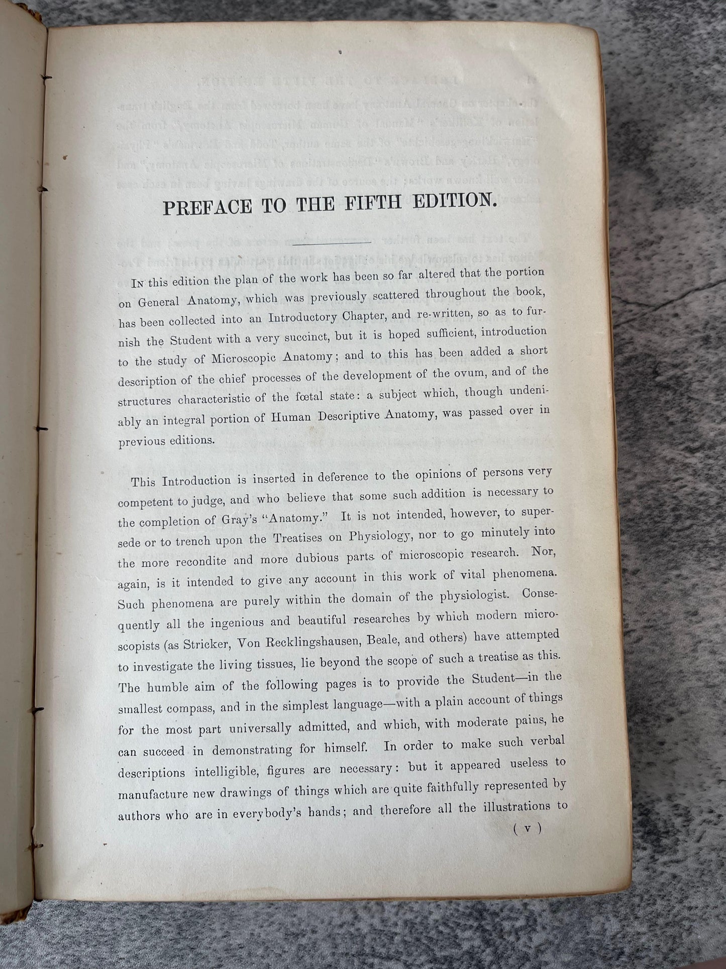 Gray's Anatomy Descriptive and Surgical / Fifth Edition / 1870 - Precious Cache