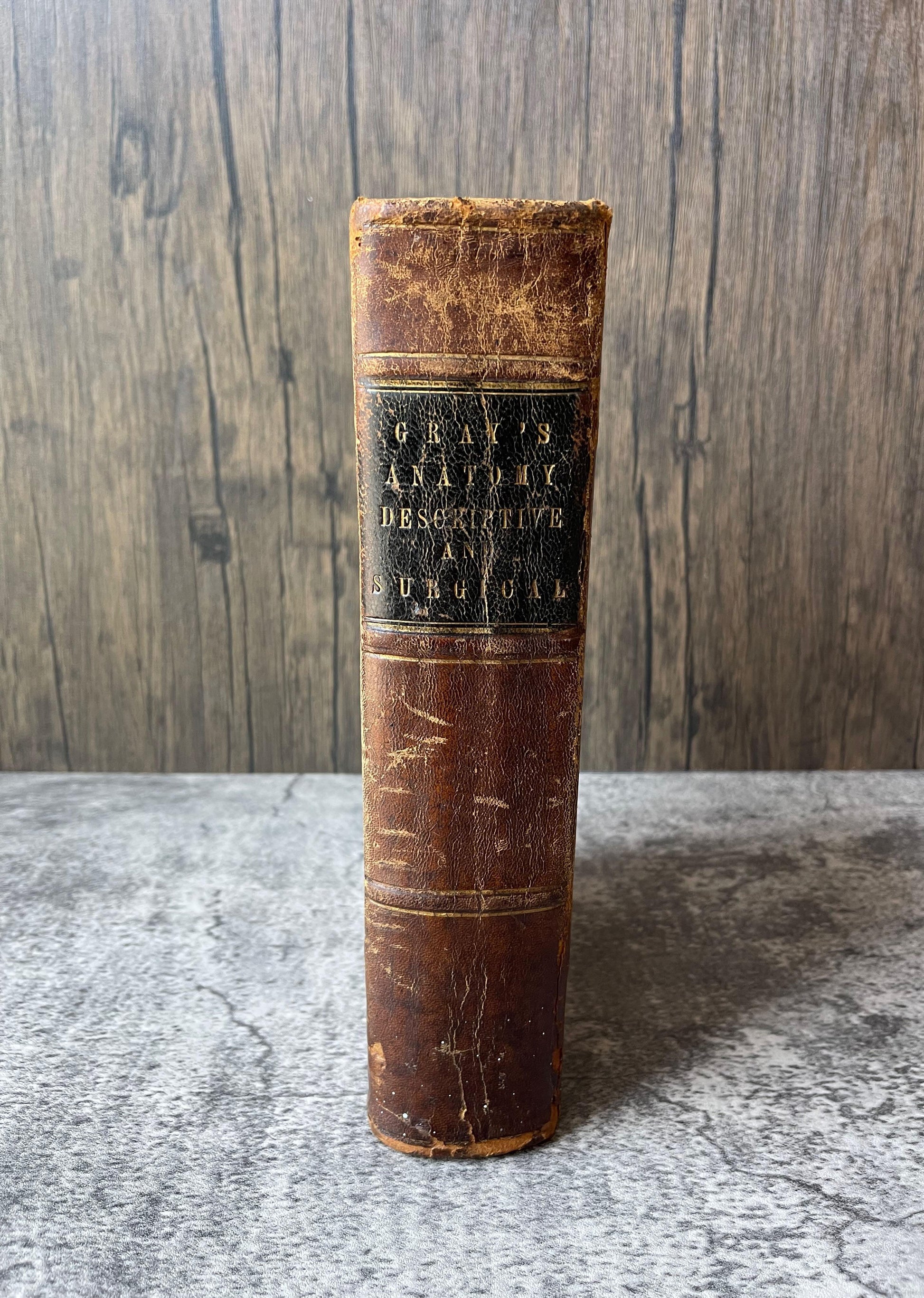 Gray's Anatomy Descriptive and Surgical / Fifth Edition / 1870 - Precious Cache