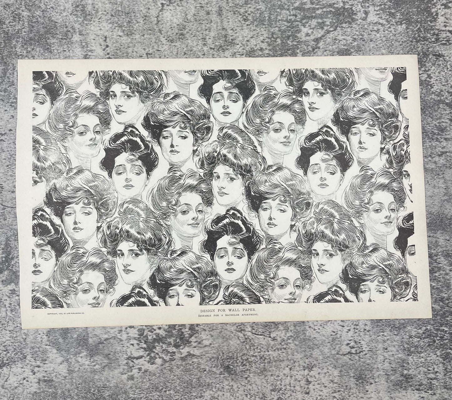 Gibson Girl Engraving / Design For Wall Paper - Precious Cache