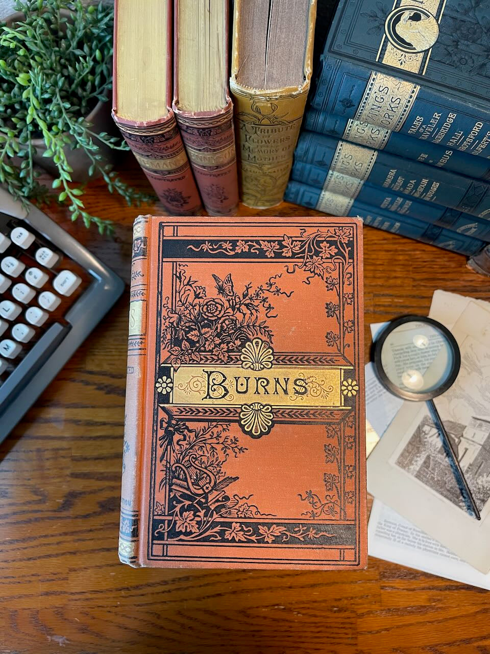 The Poetical Works of Burns / 1880 - Precious Cache