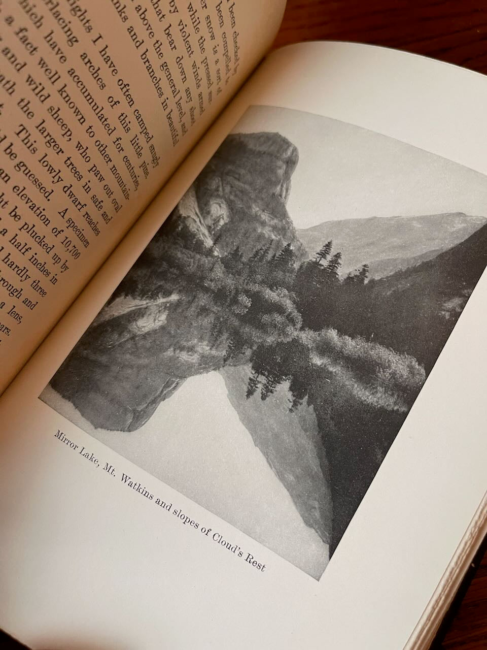 The Yosemite / John Muir / First Edition / 1912 - Precious Cache