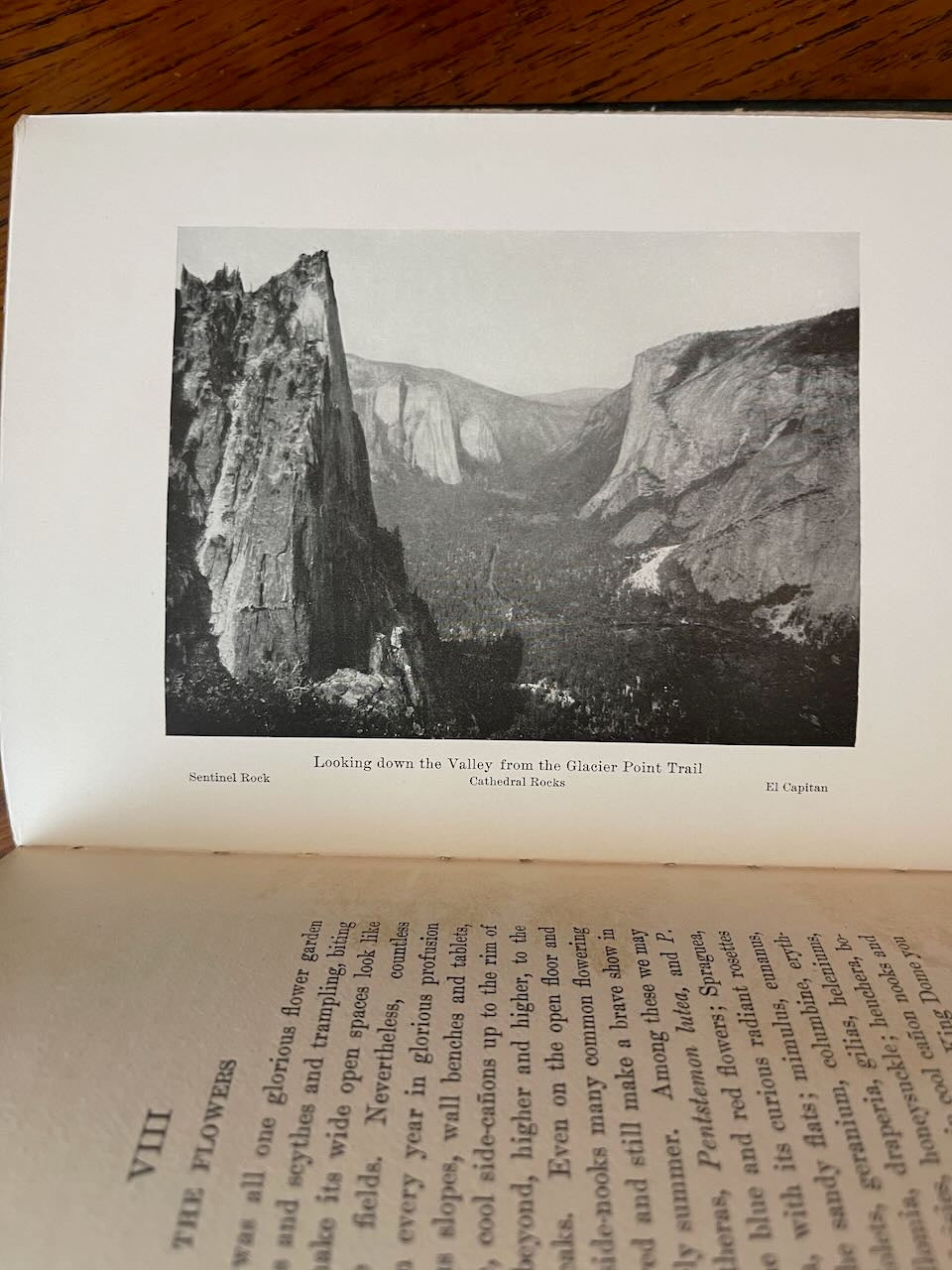 The Yosemite / John Muir / First Edition / 1912 - Precious Cache