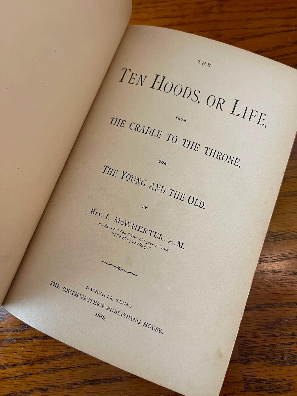 The Ten Hoods, or Life, from the Cradle to the Throne / 1888 - Precious Cache