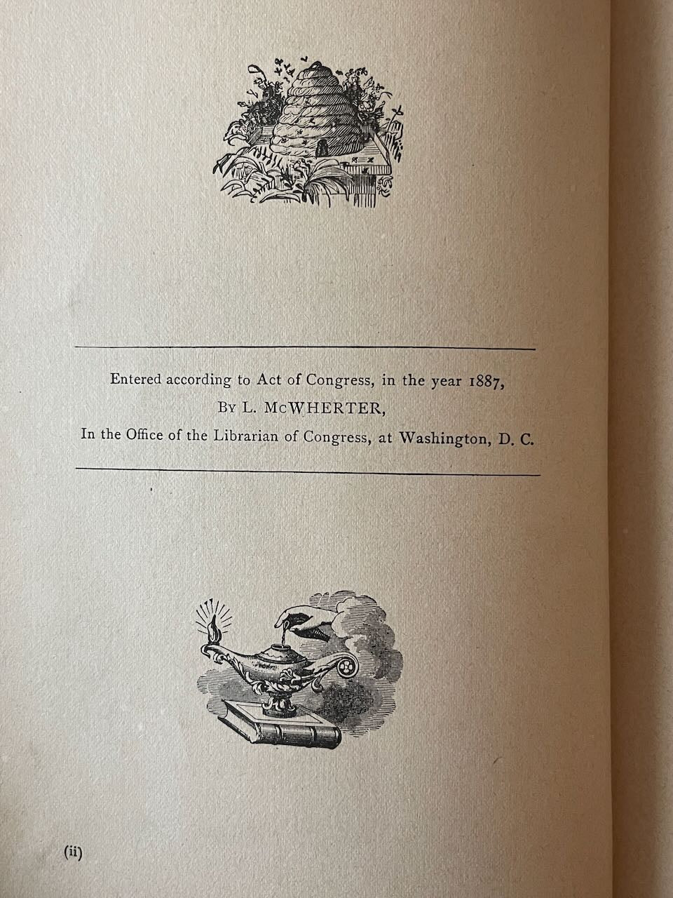 The Ten Hoods, or Life, from the Cradle to the Throne / 1888 - Precious Cache