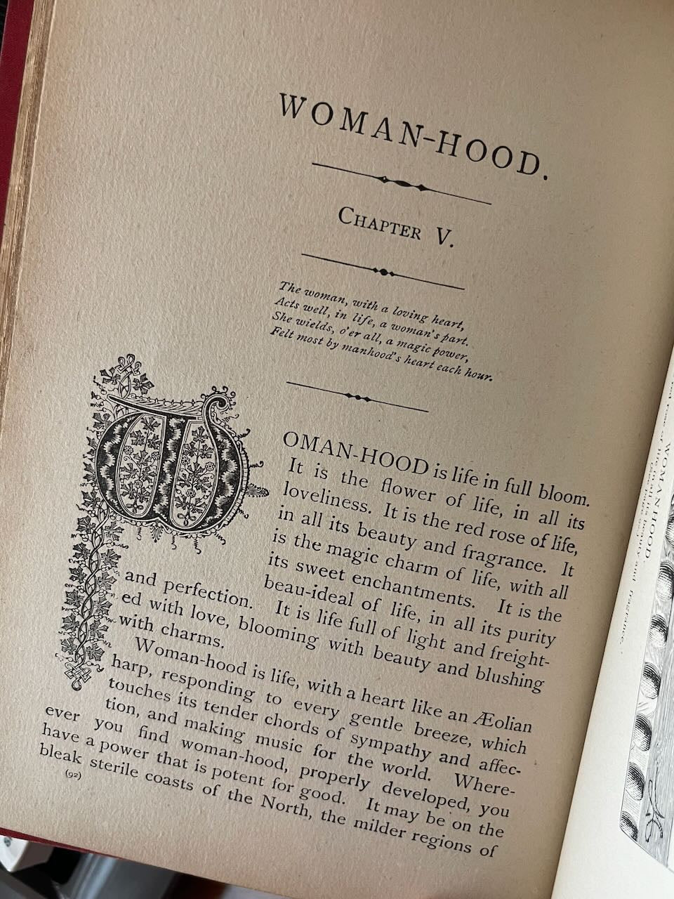 The Ten Hoods, or Life, from the Cradle to the Throne / 1888 - Precious Cache