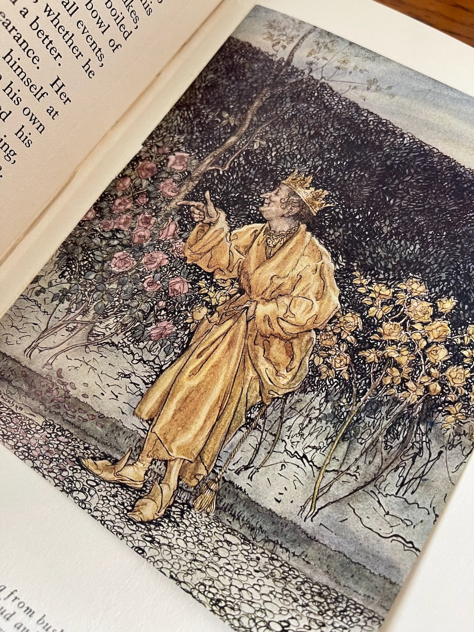 A Wonder Book / Illustrated by Arthur Rackham / First US Edition Thus / 1922 - Precious Cache