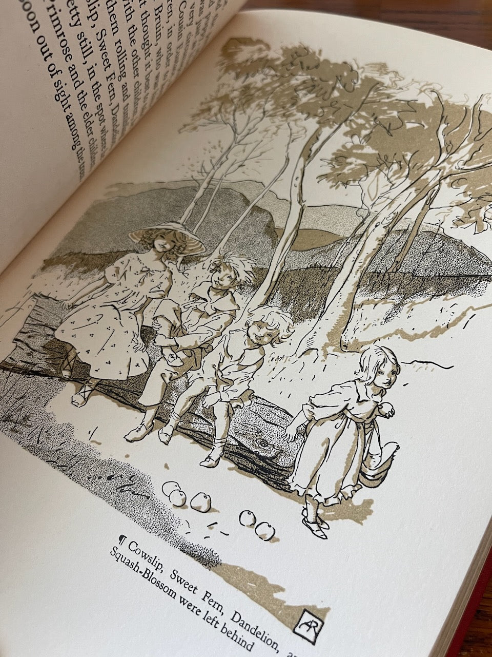 A Wonder Book / Illustrated by Arthur Rackham / First US Edition Thus / 1922 - Precious Cache