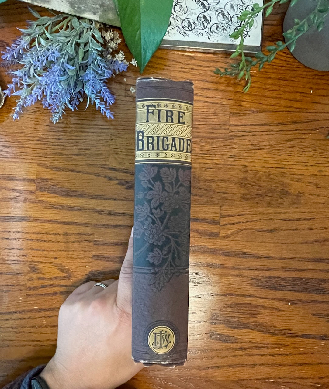 The Fire Brigade or fighting the flames / 1881 - Precious Cache