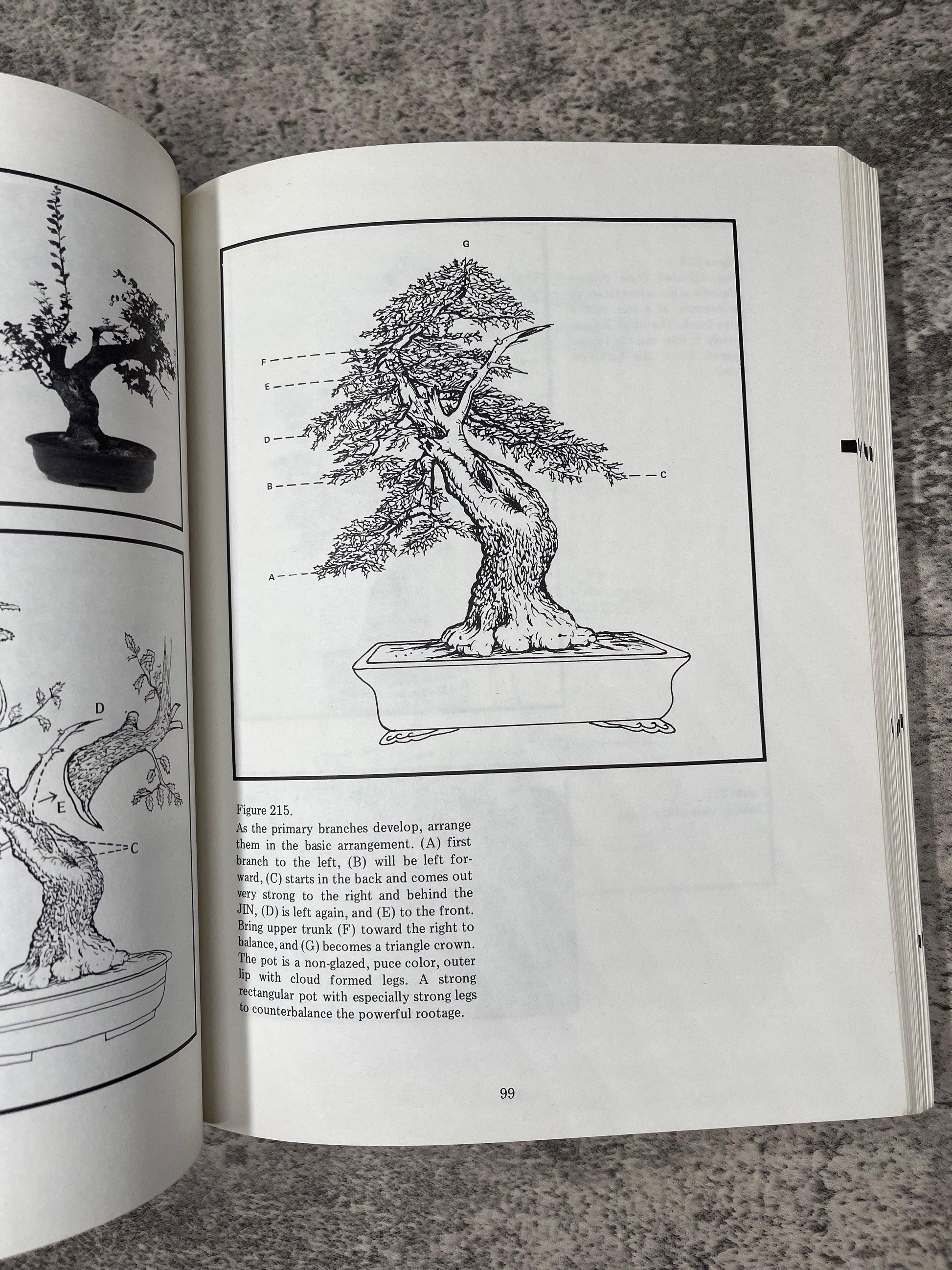 Bonsai Techniques II / Second Printing / 1984 - Precious Cache