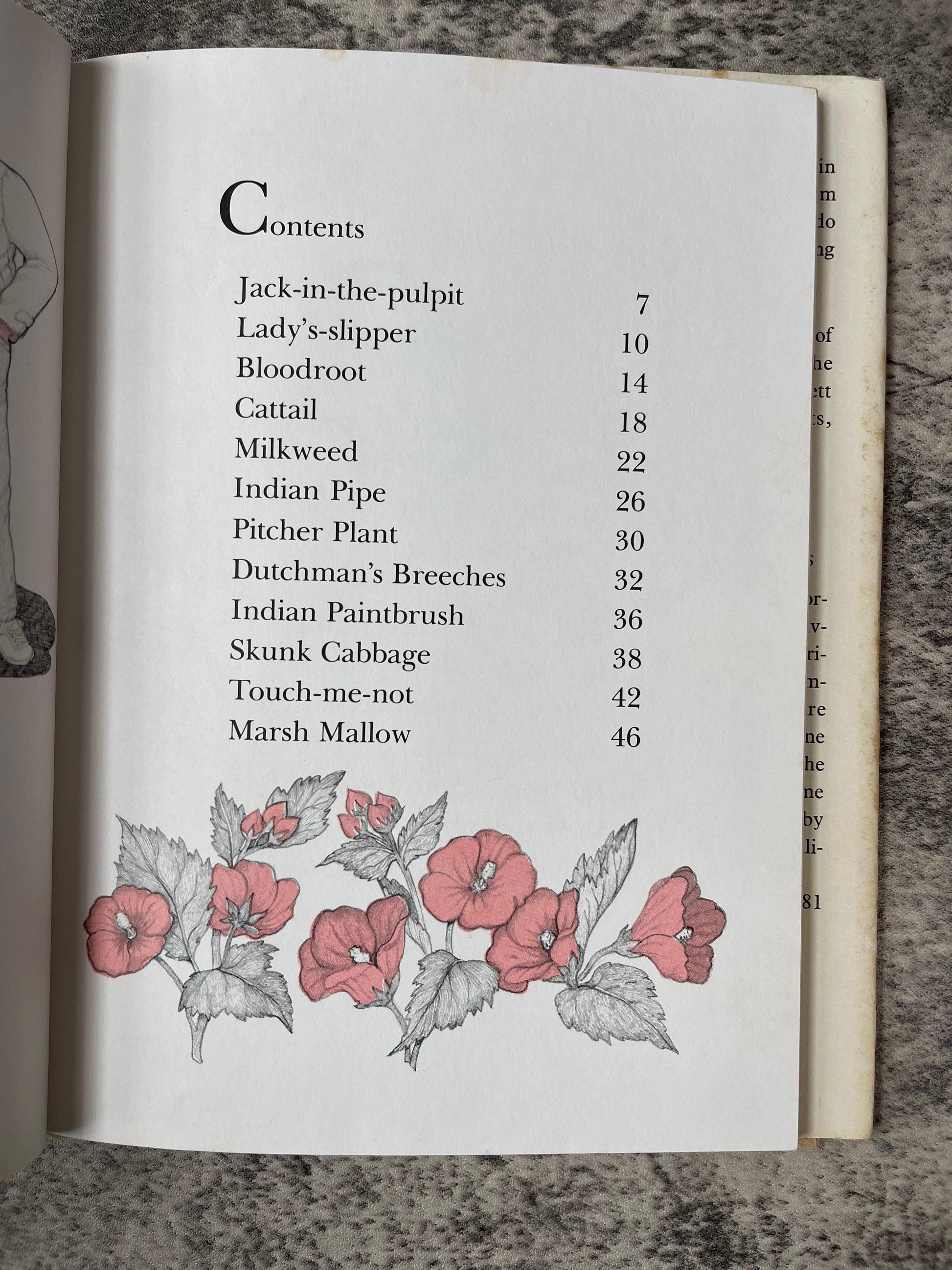 Some Plants Have Funny Names / 1983 - Precious Cache