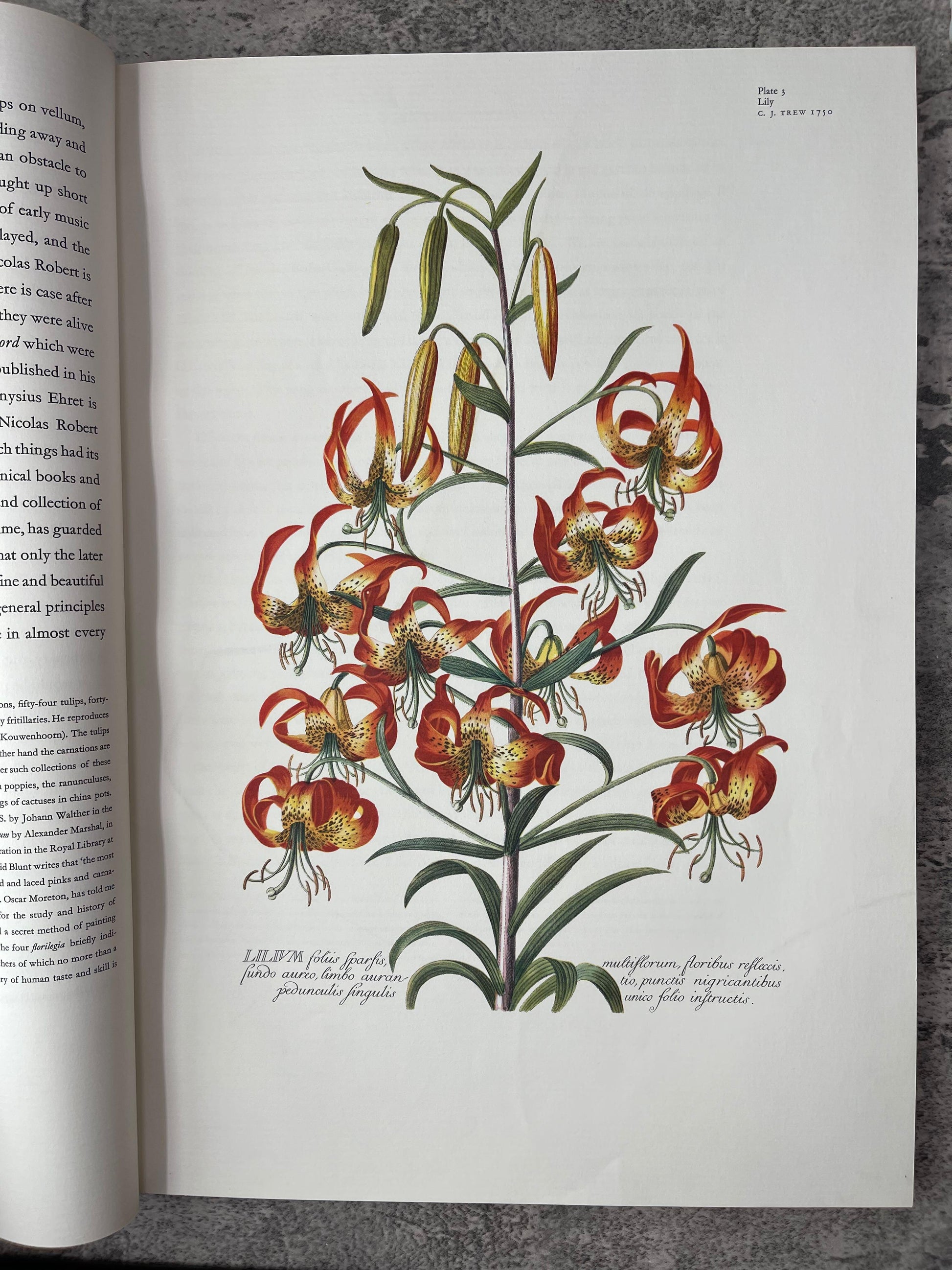 Great Flower Books 1700-1900 / Signed / 1st Limited Edition / Copy No. 42 / 1956 - Precious Cache