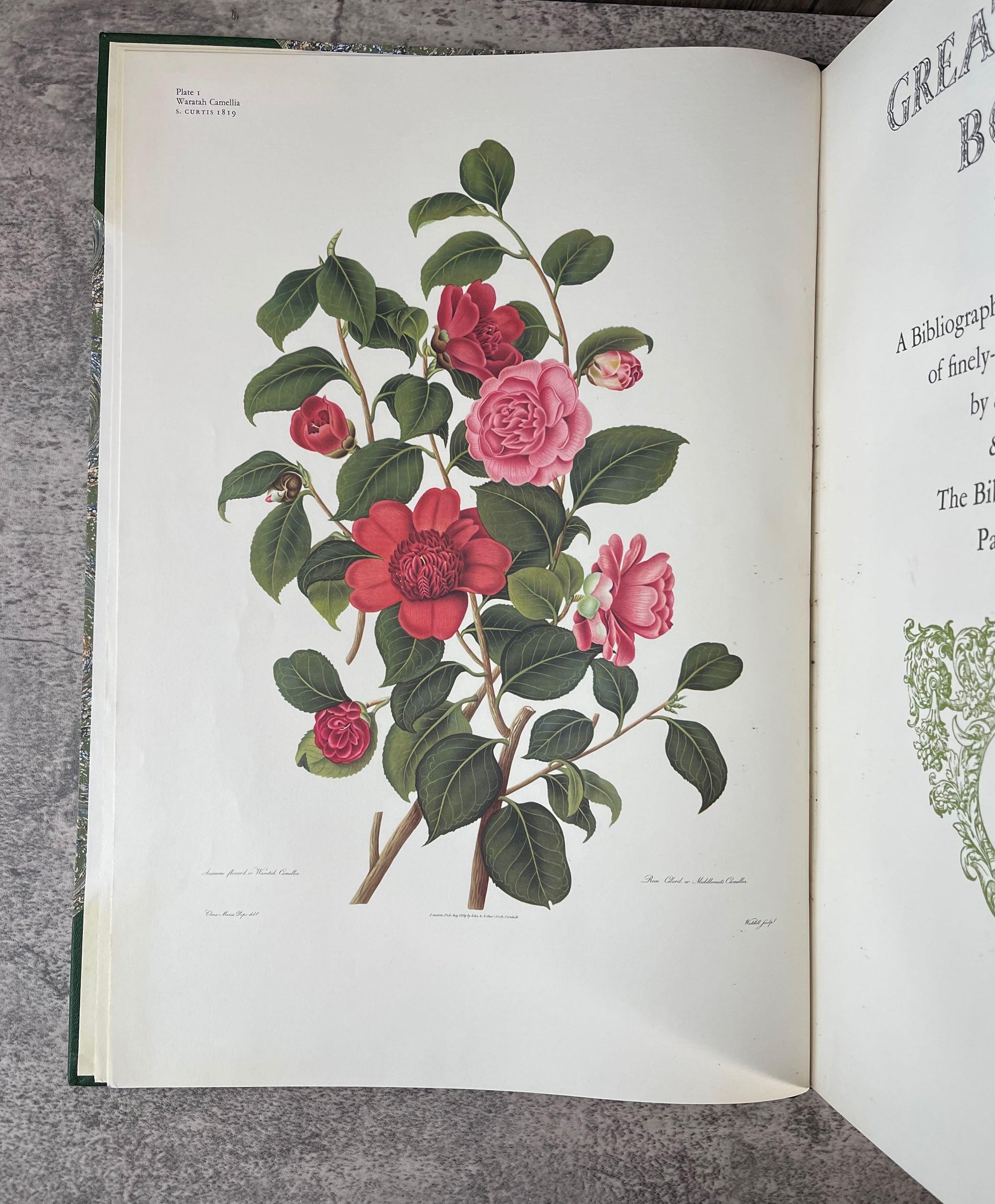 Great Flower Books 1700-1900 / Signed / 1st Limited Edition / Copy No. 42 / 1956 - Precious Cache