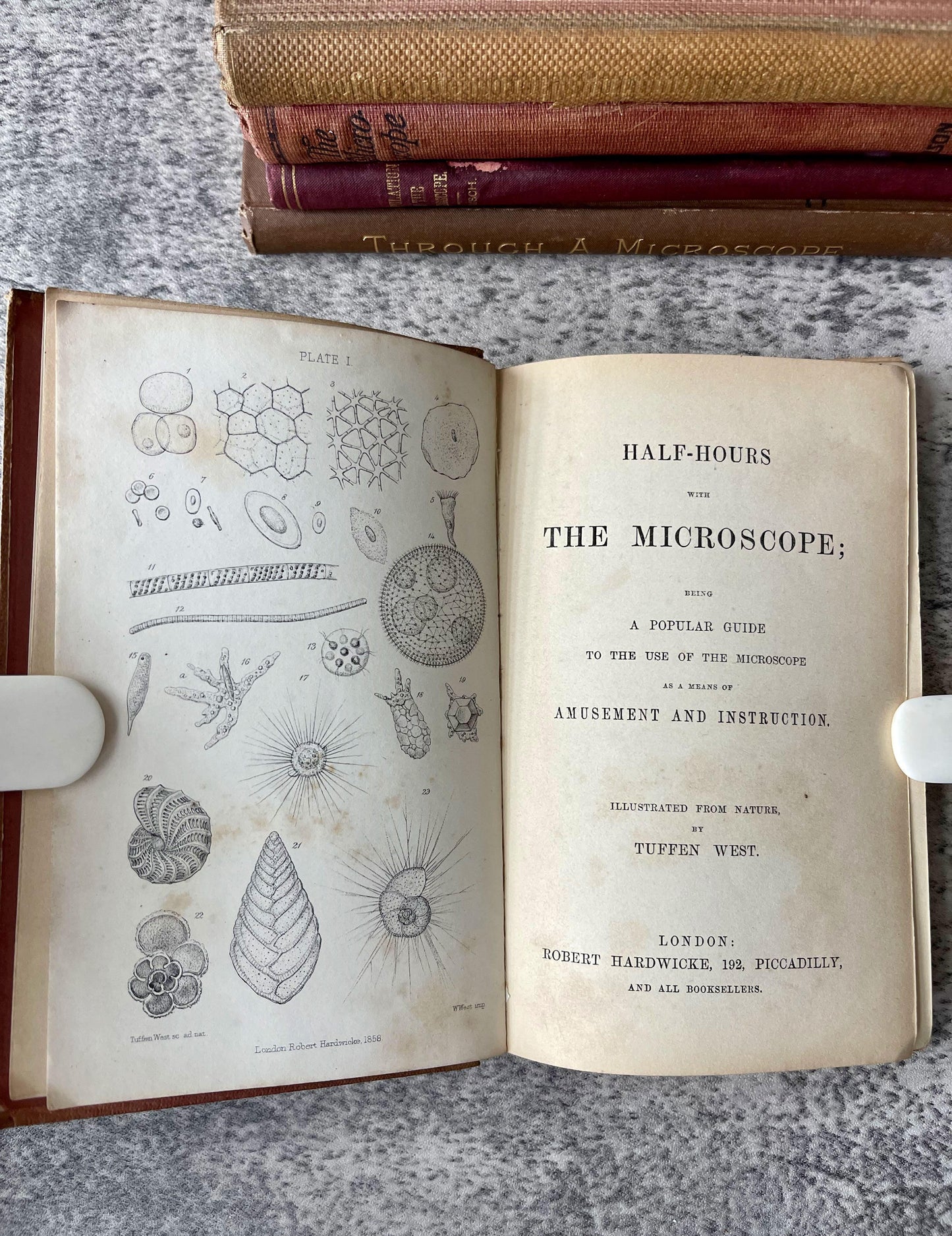 Microscope Biology Science and Chemistry / 6 Book Lot / c1800s - Precious Cache