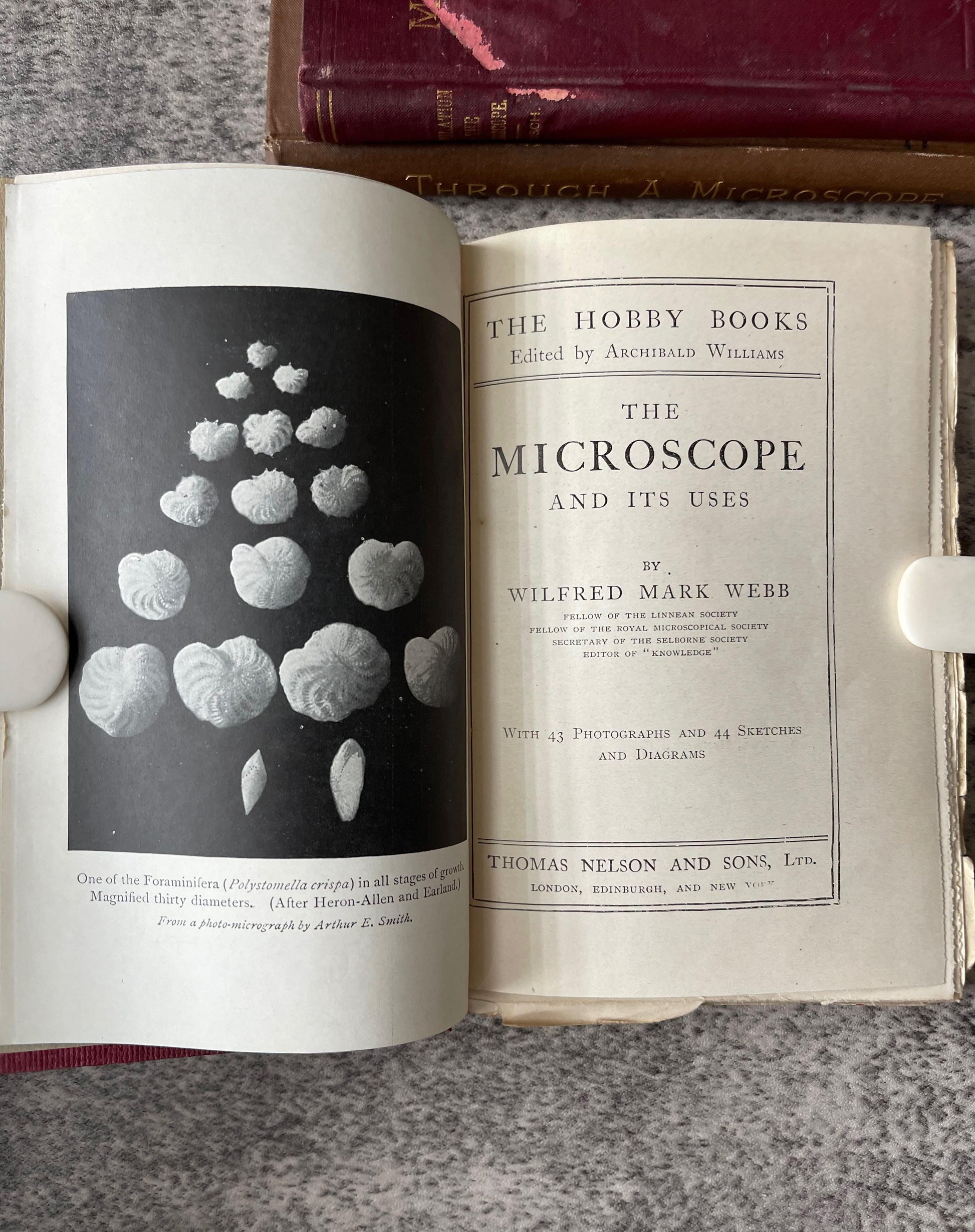 Microscope Biology Science and Chemistry / 6 Book Lot / c1800s - Precious Cache