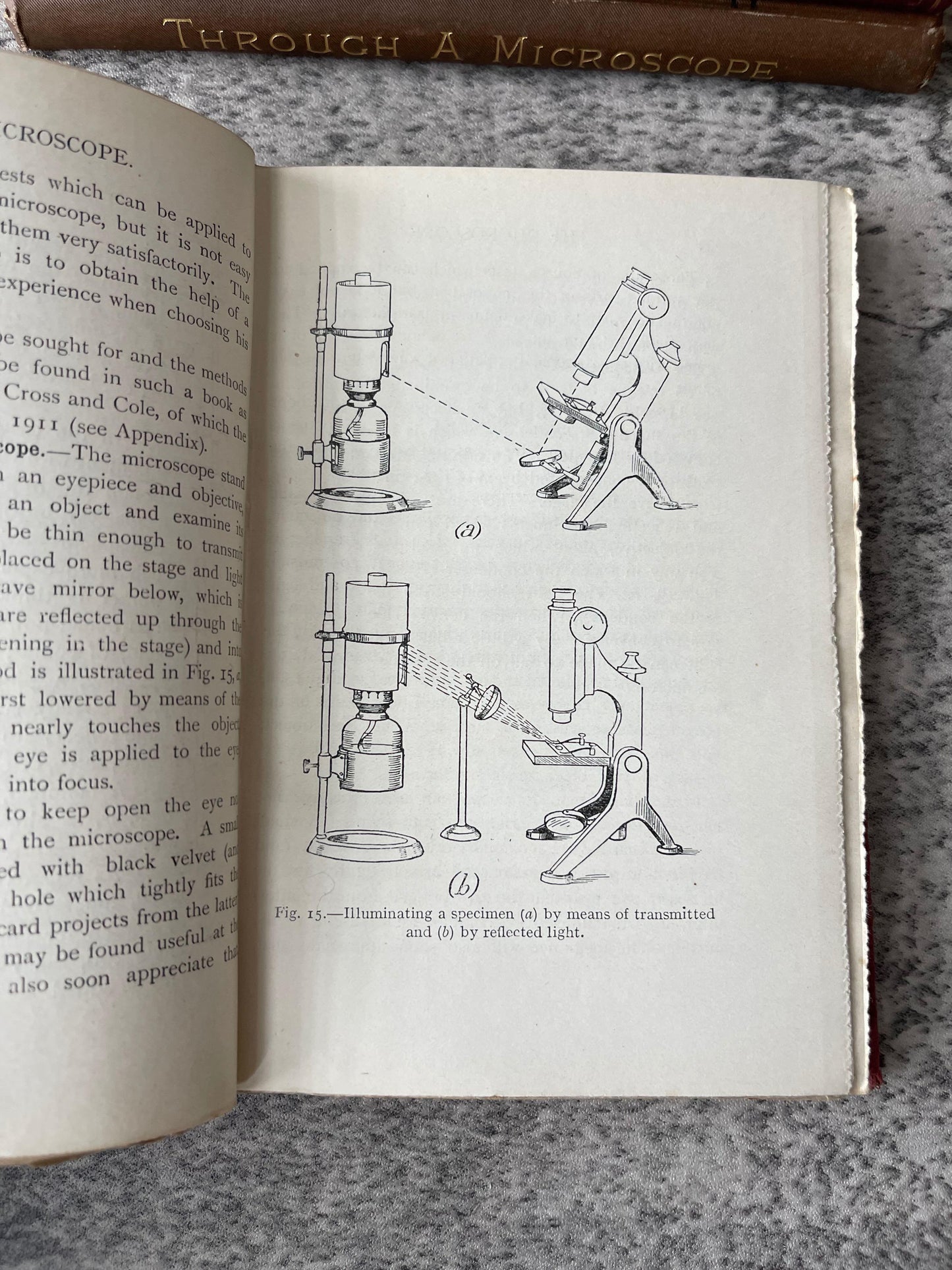 Microscope Biology Science and Chemistry / 6 Book Lot / c1800s - Precious Cache