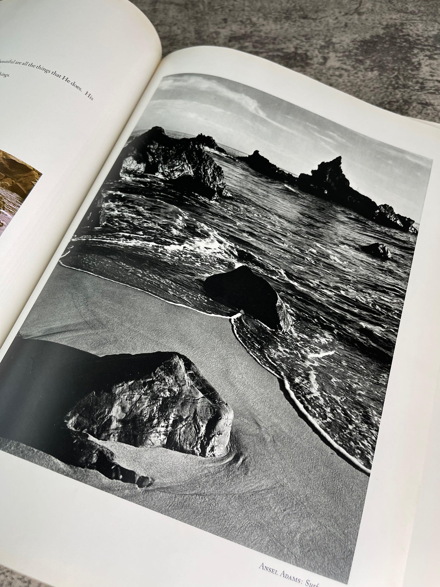 Not Man Apart / Photographs of the Big Sur Coast / First Edition Fourth Printing / 1964 - Precious Cache