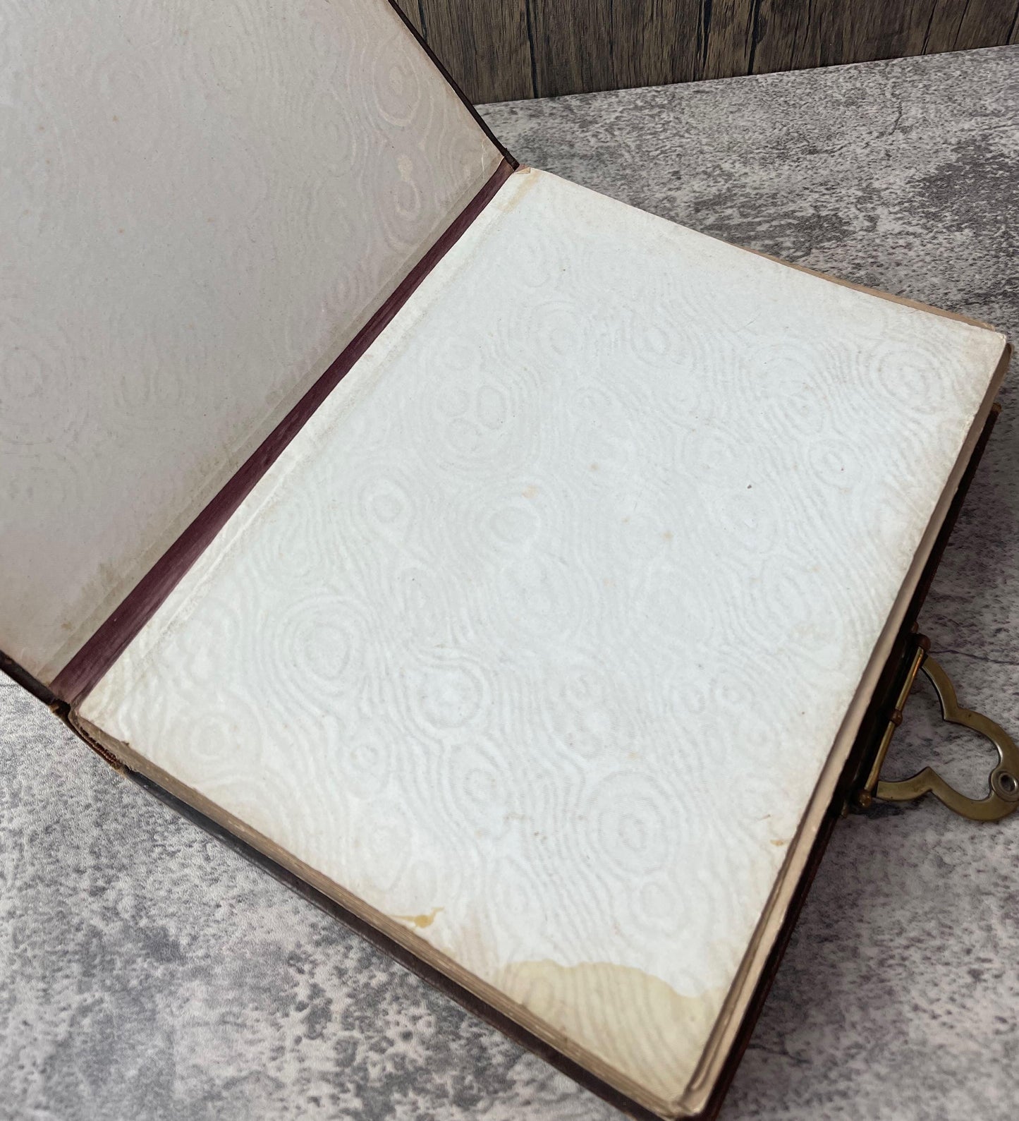 Victorian Embossed Leather Photography Album / 1876 - Precious Cache